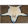 Image 1 : Big MOUNTAIN GOAT Rug with its Mounted Head and a Double Felt Backing