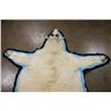 Image 4 : Big MOUNTAIN GOAT Rug with its Mounted Head and a Double Felt Backing