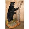 Image 2 : Massive Life-sized BLACK BEAR on Decorative Forest Base with Wheels