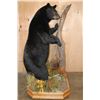 Image 3 : Massive Life-sized BLACK BEAR on Decorative Forest Base with Wheels