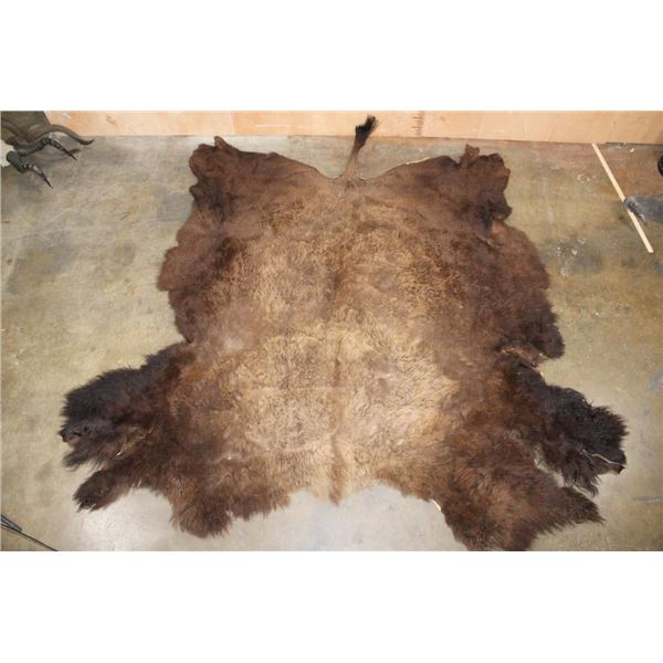 XXL North America BUFFALO or BISON Hide