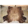 Image 1 : XXL North America BUFFALO or BISON Hide