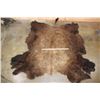 Image 2 : XXL North America BUFFALO or BISON Hide