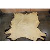 Image 3 : XXL North America BUFFALO or BISON Hide