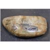 Image 2 : Antique "1864" Scrimshawed SPERM WHALE Tooth signed by artist "L.J.B."