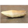 Image 7 : Antique "1864" Scrimshawed SPERM WHALE Tooth signed by artist "L.J.B."