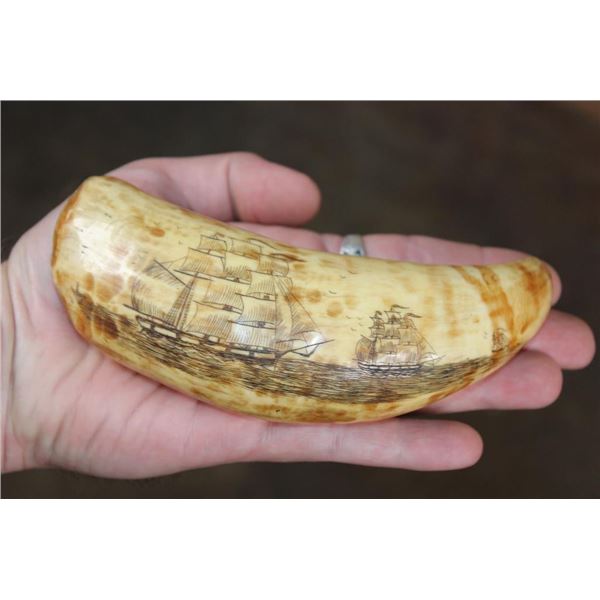 Antique SPERM WHALE Tooth with Nautical Scrimshaw