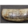 Image 2 : Antique SPERM WHALE Tooth with Nautical Scrimshaw