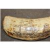 Image 3 : Antique SPERM WHALE Tooth with Nautical Scrimshaw