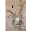 Image 1 : Big 4-Horned JACOB Sheep Skull on a Wood Plaque