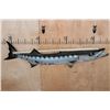 Image 2 : XL Reproduction BARRACUDA Fish Mount