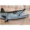 Image 3 : XL Reproduction BARRACUDA Fish Mount