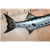 Image 5 : XL Reproduction BARRACUDA Fish Mount