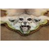Image 2 : GREY FOX Rug with its Mounted Head and Double Felt Backing