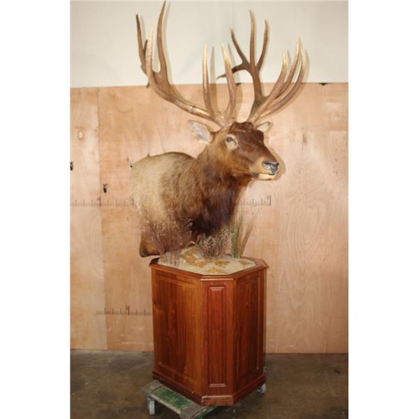 XXL 15-Point ELK Pedestal Mount
