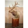 Image 3 : XXL 15-Point ELK Pedestal Mount