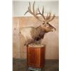 Image 4 : XXL 15-Point ELK Pedestal Mount