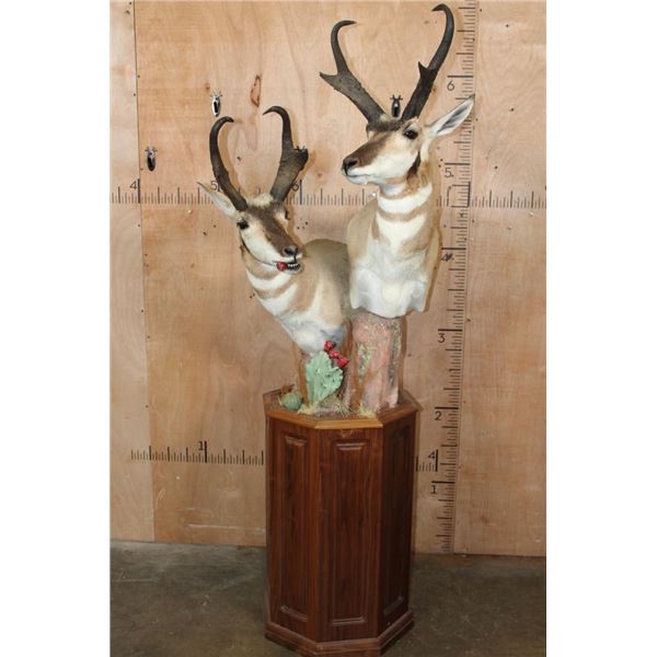 Double PRONGHORN Pedestal Mount