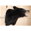 Image 3 : "Roaring" BLACK BEAR Shoulder Mount