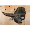 Image 2 : Massive XXL WATER BUFFALO Wall Pedestal Mount
