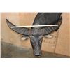 Image 7 : Massive XXL WATER BUFFALO Wall Pedestal Mount