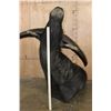 Image 8 : Massive XXL WATER BUFFALO Wall Pedestal Mount