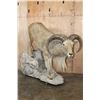Image 1 : XL Life-sized AOUDAD on a Rocky Base with Wheels