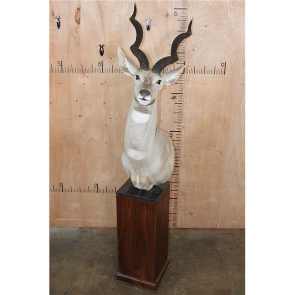 XXL LESSER KUDU Pedestal Mount