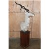 Image 2 : XXL LESSER KUDU Pedestal Mount