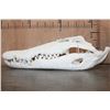 Image 6 : XXL CROCODILE Skull