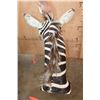 Image 10 : ZEBRA Shoulder Mount