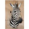 Image 1 : ZEBRA Shoulder Mount