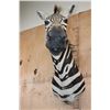 Image 7 : ZEBRA Shoulder Mount