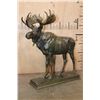 Image 1 : Big MOOSE Bronze Sculpture after A.P. Proctor