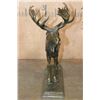 Image 3 : Big MOOSE Bronze Sculpture after A.P. Proctor