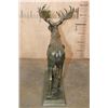 Image 4 : Big MOOSE Bronze Sculpture after A.P. Proctor