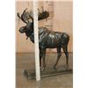 Image 7 : Big MOOSE Bronze Sculpture after A.P. Proctor