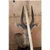Image 7 : BUSHBUCK Table Pedestal Mount