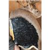 Image 11 : Huge 34-Point WHITETAIL DEER Wall Pedestal with Tooled Leather Backing