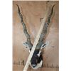 Image 5 : XXL BLACKBUCK Shoulder Mount