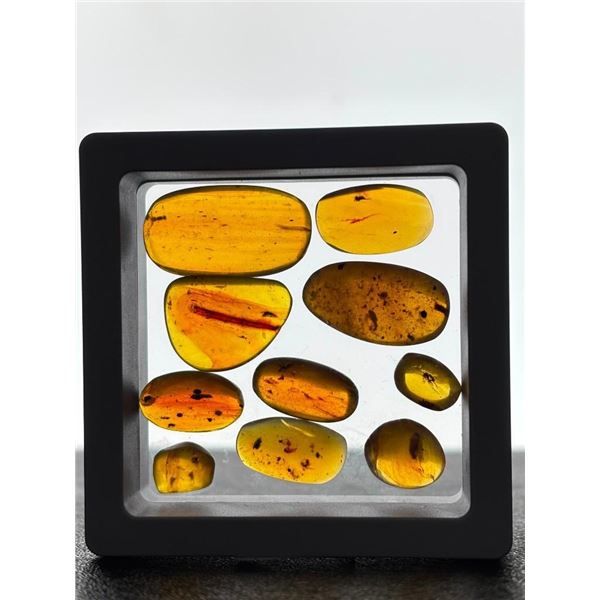10 Pieces of Authentic Myanmar AMBER Fossil Specimens