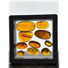 Image 1 : 10 Pieces of Authentic Myanmar AMBER Fossil Specimens