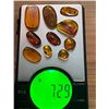 Image 4 : 10 Pieces of Authentic Myanmar AMBER Fossil Specimens