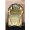 Image 4 : XXL ALLIGATOR Head with All its Teeth