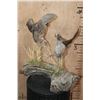 Image 6 : 2 Life-sized "Fighting" BOBWHITE QUAIL on a Driftwood Base