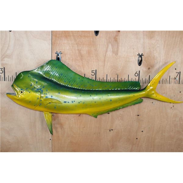 Big Reproduction MAHI MAHI or DOLPHINFISH Mount