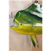 Image 3 : Big Reproduction MAHI MAHI or DOLPHINFISH Mount