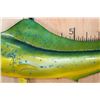 Image 4 : Big Reproduction MAHI MAHI or DOLPHINFISH Mount