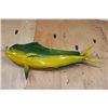 Image 6 : Big Reproduction MAHI MAHI or DOLPHINFISH Mount