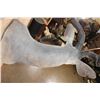 Image 6 : XL KUDU Shoulder Mount